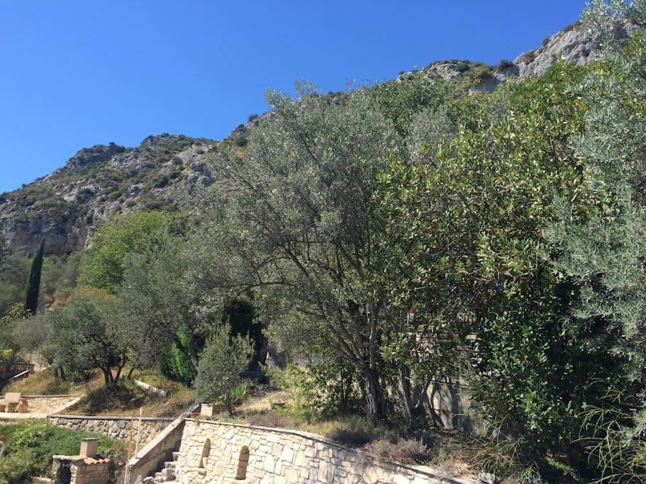 Appartement Sur La Colline Avec Acces Piscine Volx المظهر الخارجي الصورة