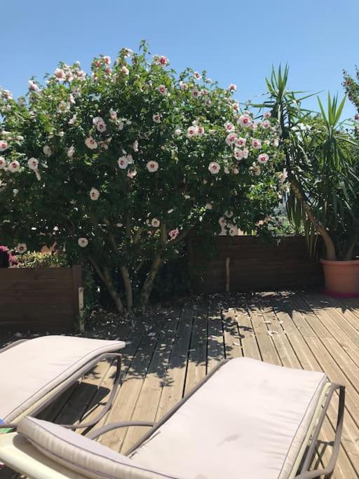 Appartement Sur La Colline Avec Acces Piscine Volx المظهر الخارجي الصورة